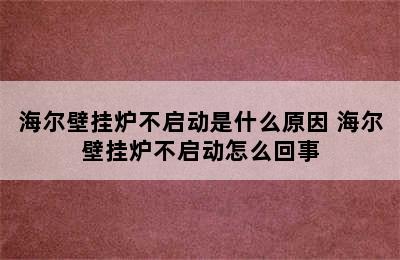 海尔壁挂炉不启动是什么原因 海尔壁挂炉不启动怎么回事